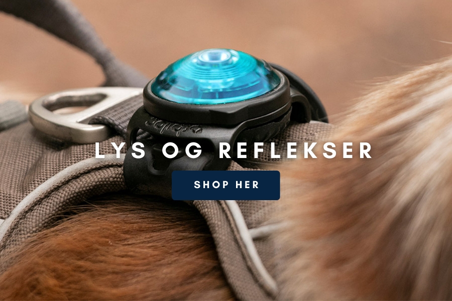 lys og reflekser
